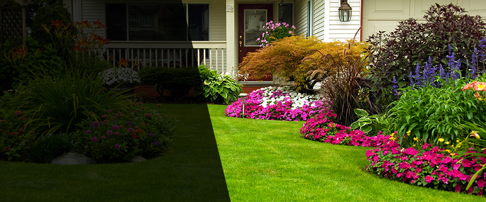 Carriere Landscapers