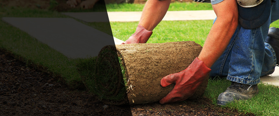 Carriere Landscapers